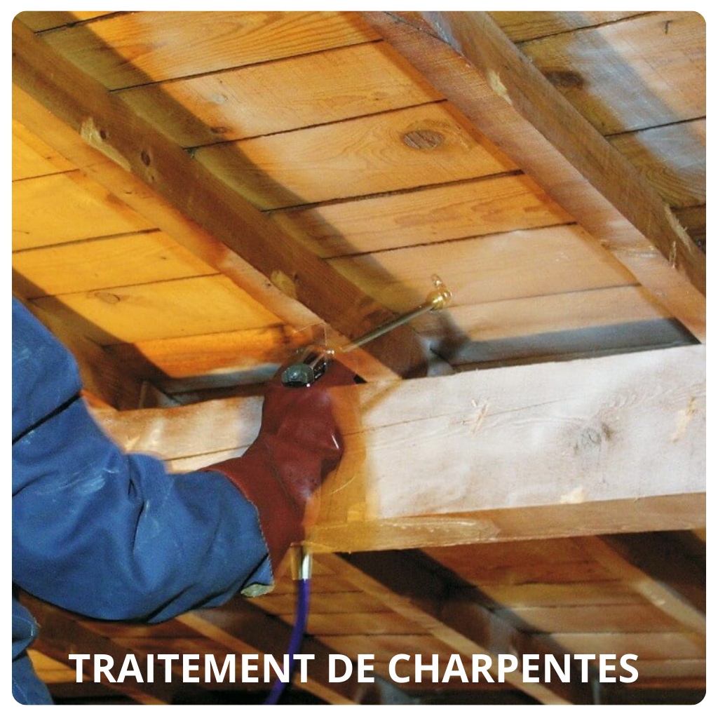 traitement-de-charpentes2