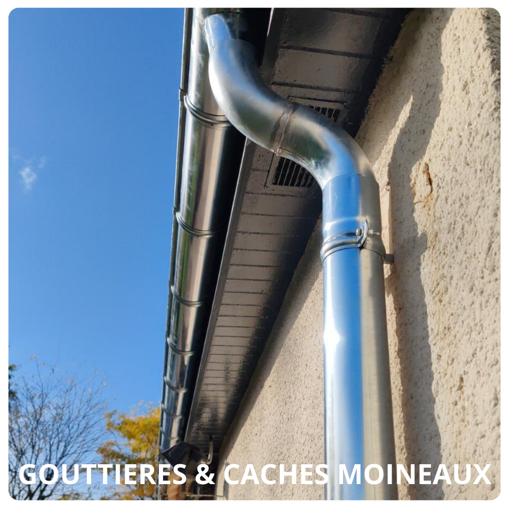 gouttières_et_caches-moineaux